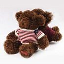 韩版南韩绒泰迪熊